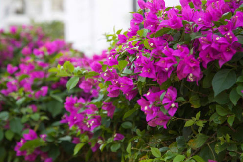 C:\Documents and Settings\Administrator\妗????伴?荤?2016 绉?\2016.8.27杩??拌?琛??跺９\?剧?? (1)\1.jpg