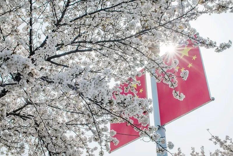20220422【图集】SIT学子从家乡寄来的春天 (3).jpg