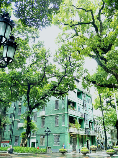 20220422【图集】SIT学子从家乡寄来的春天 (15).jpg