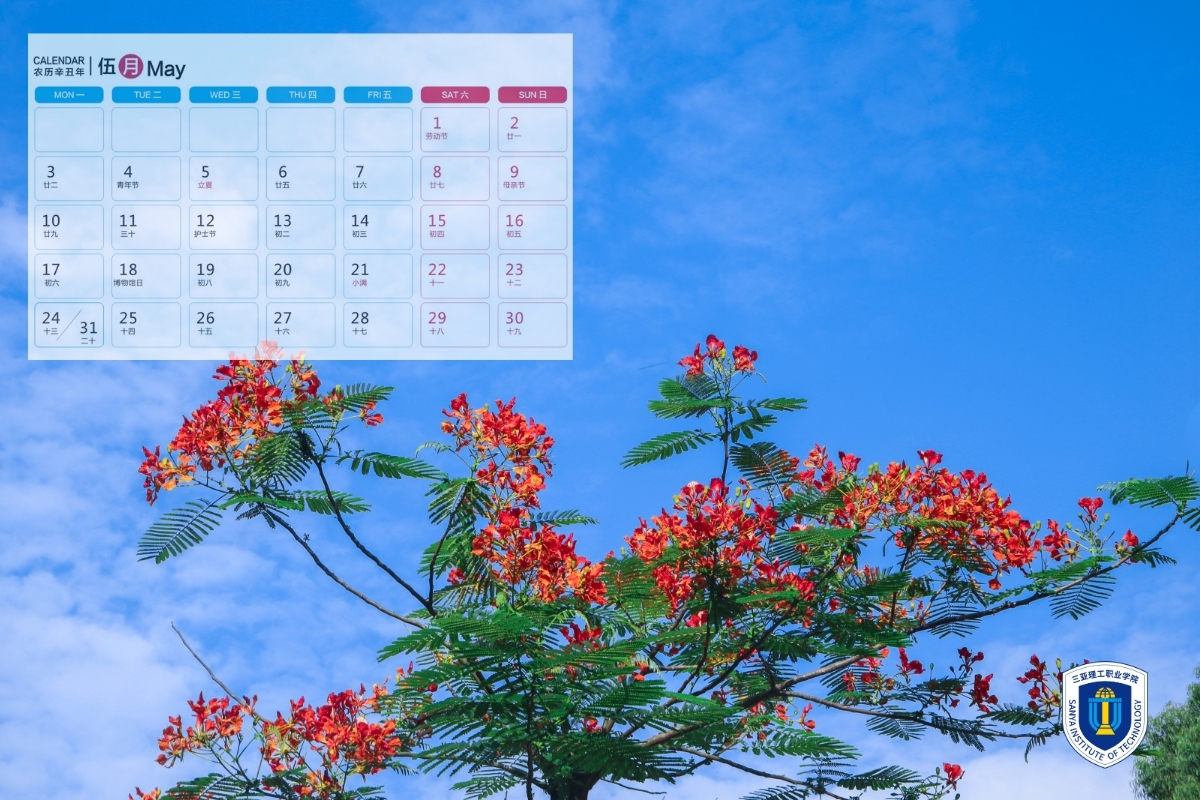 图司�?20210106-15454978 (4).jpg