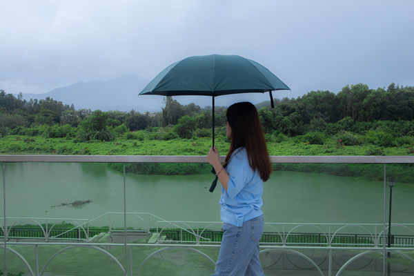 _MG_9650.jpg _MG_9650.jpg