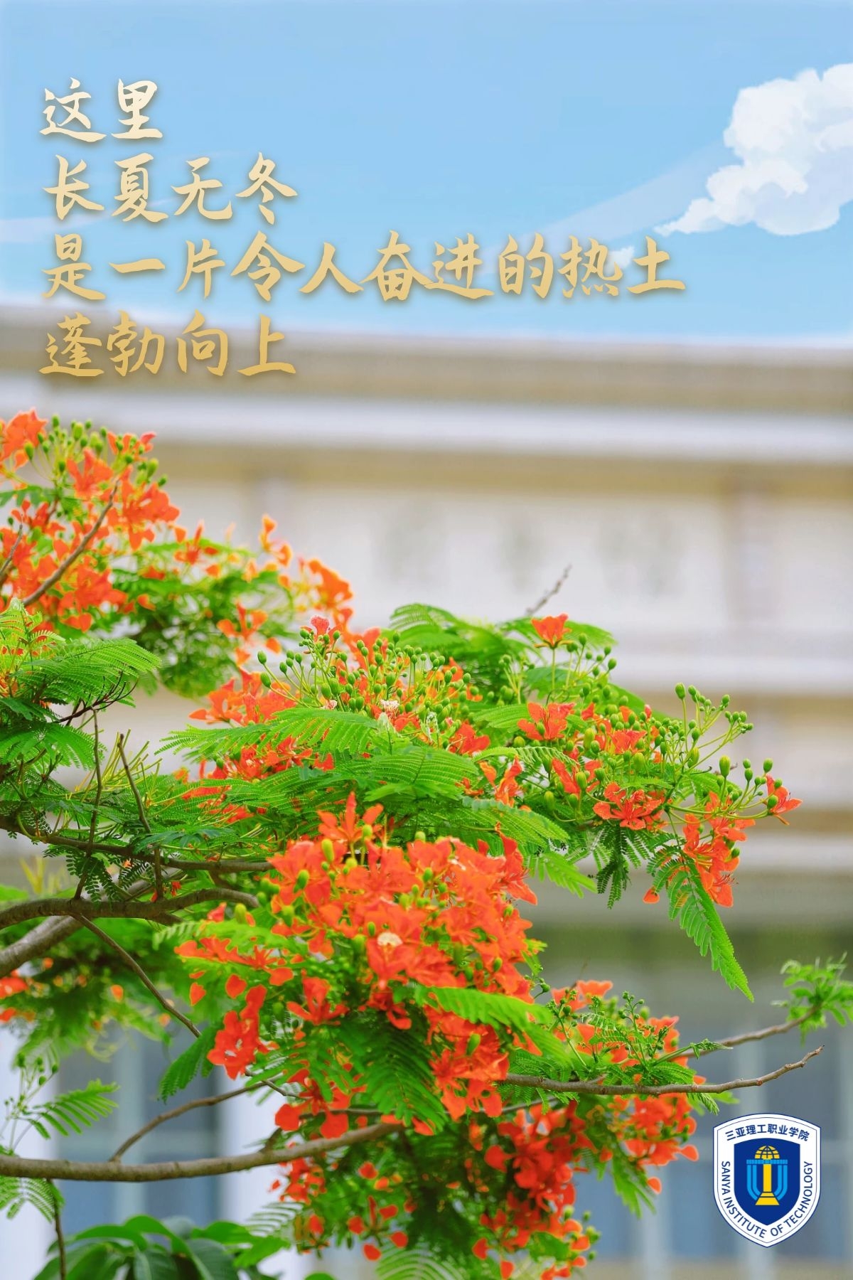 图司�?20220607-30916120 (1).jpg