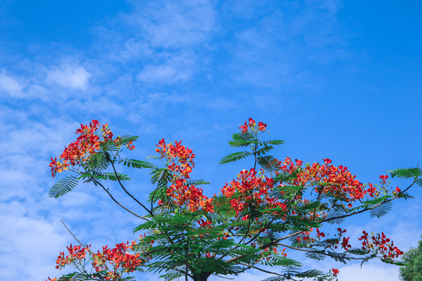 Canon EOS 6D_20200528_173331_副本.jpg