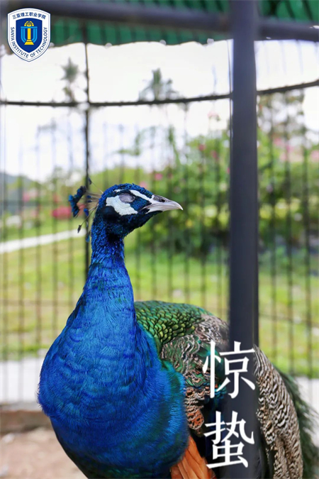 图片 1.jpg
