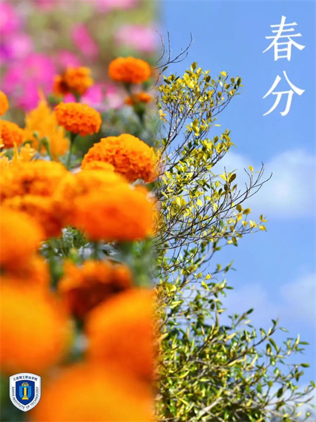 图片 5.jpg
