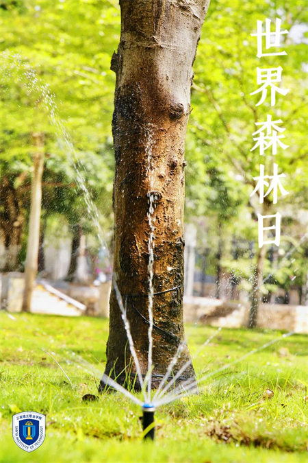 图片 6.jpg
