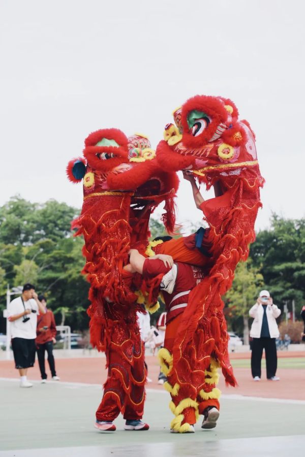 图片 11.jpg
