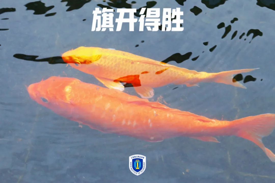 图片6.jpg 图片6.jpg