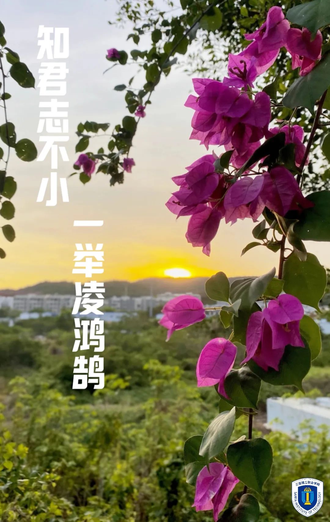 图片8.jpg 图片8.jpg