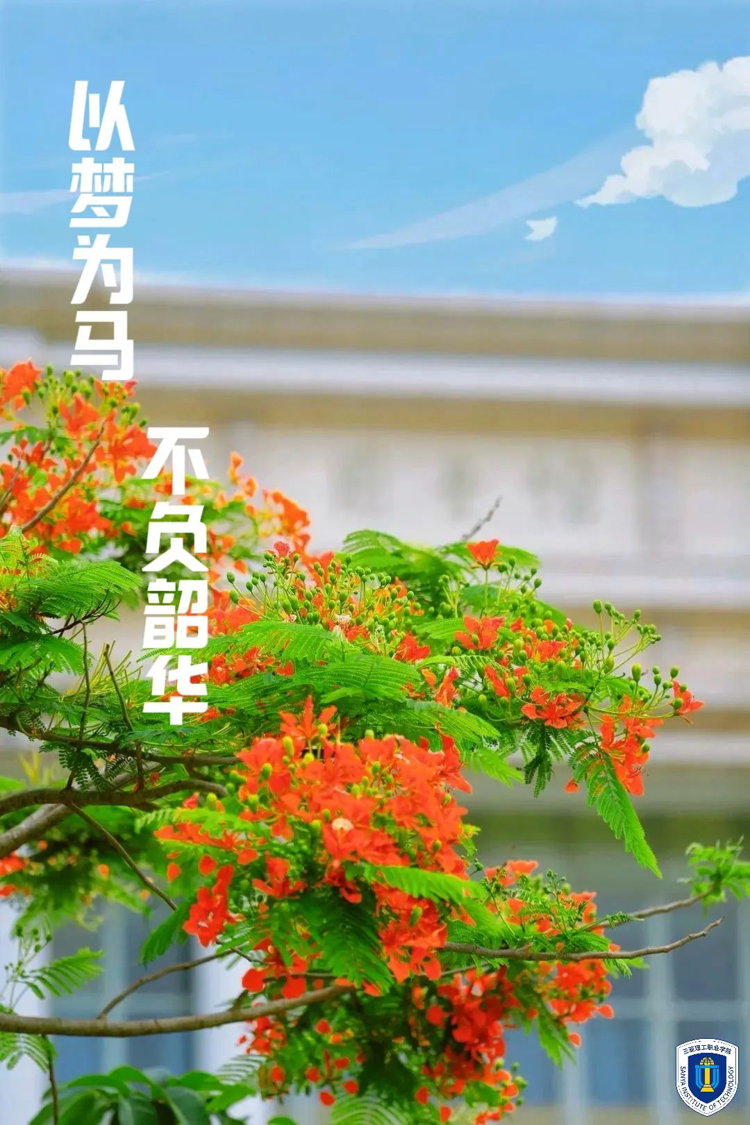 图片10.jpg 图片10.jpg