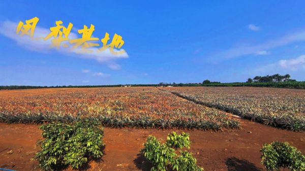 图片 6.jpg 图片 6.jpg