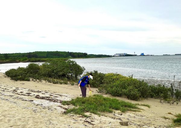 图片 11.jpg 图片 11.jpg