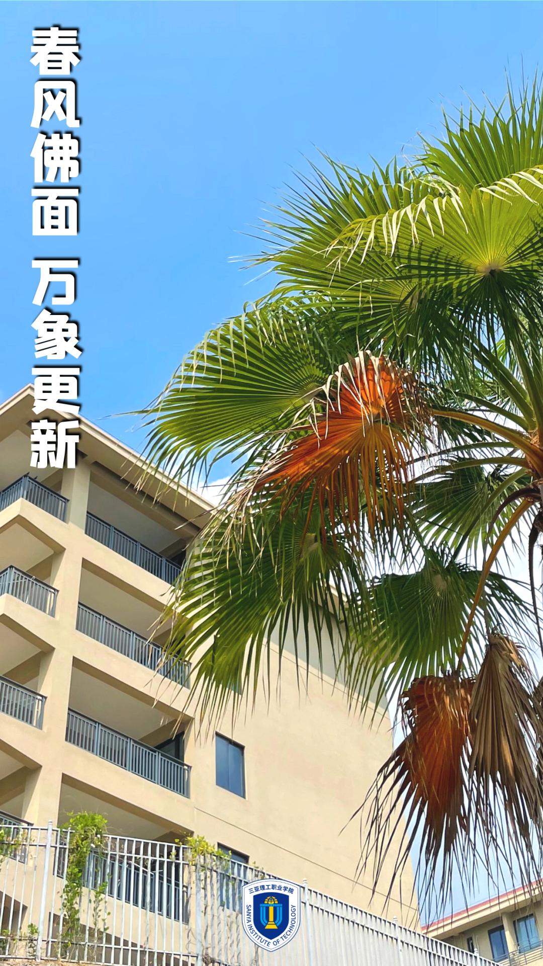 图片11.jpg 图片11.jpg