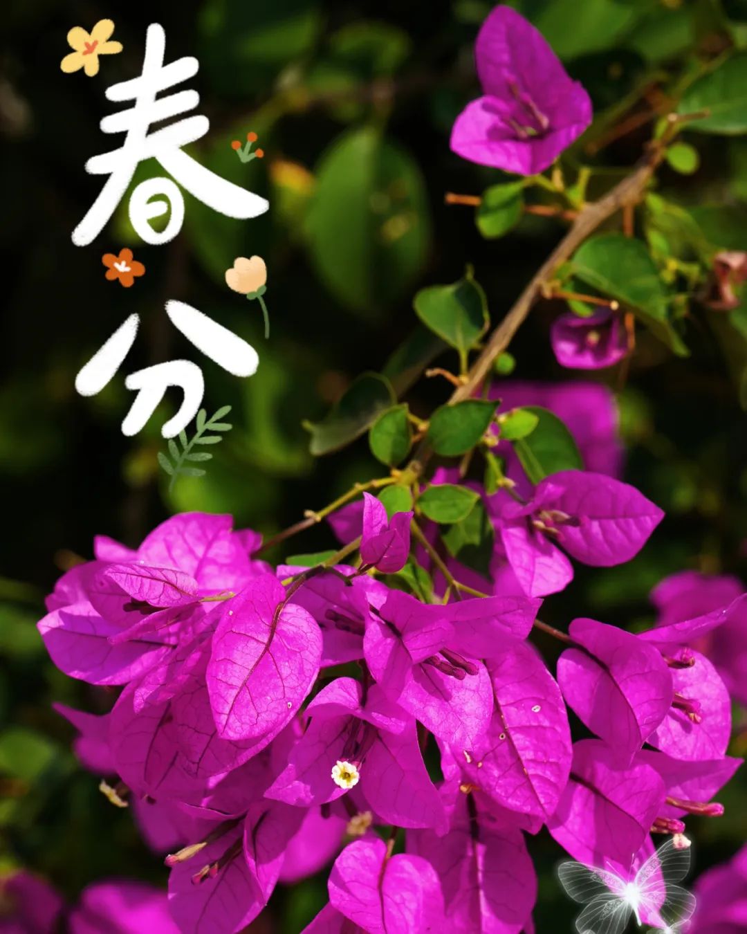 640 (10).jpg 640 (10).jpg