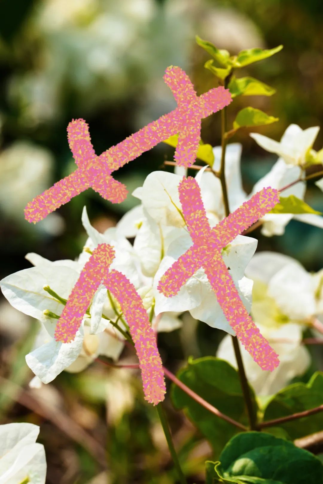 640 (5).jpg 640 (5).jpg