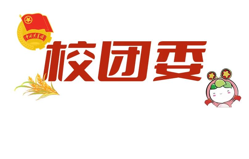 图片15.png